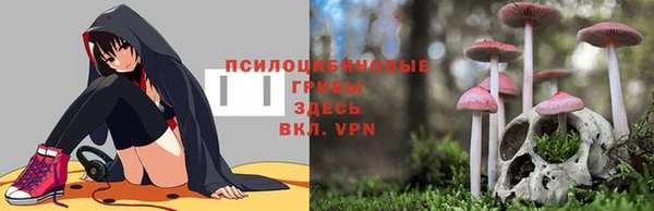 гашик Навашино
