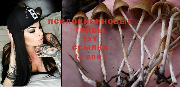 твердый Наволоки
