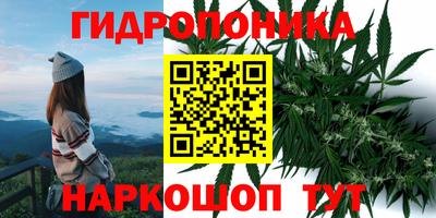 гашик Жуковский