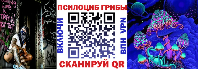 Галлюциногенные грибы Psilocybine cubensis  блэк спрут как зайти  Нововоронеж 