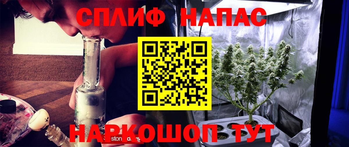 Нововоронеж  Шишки марихуана White Widow  Шишки марихуана планчик  Каннабис OG Kush  Вход с VPN 